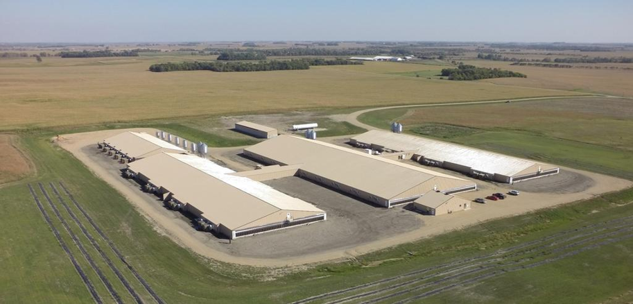 Aerial view of a completed filtered swine farm showing barn layout and fan banks